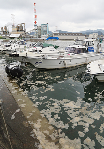 赤穂港に漂う泡=10月17日午後