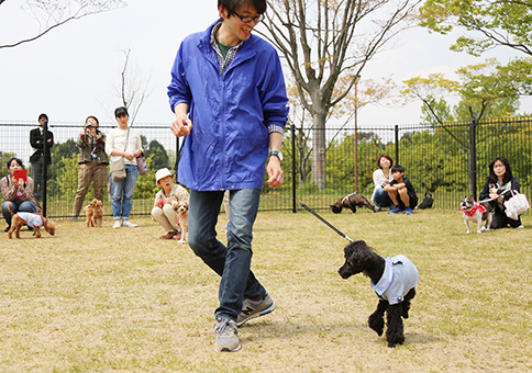 講師がトレーニング方法を実演した「犬のしつけ方教室」