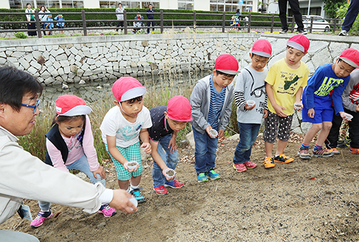加里屋川沿いにタデの種をまく児童たち