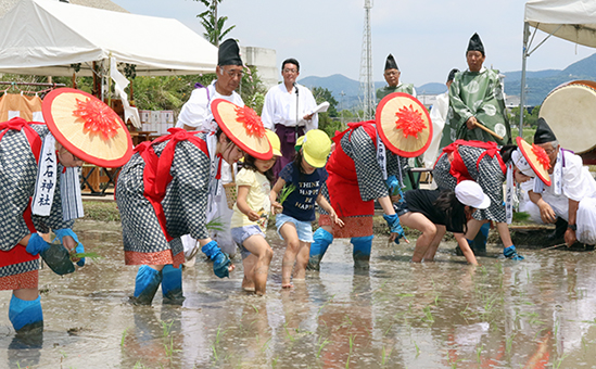 好天の下行われたお田植祭