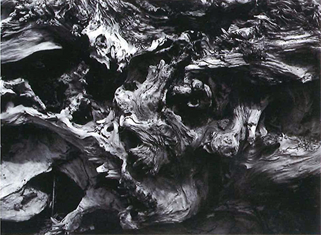 中村寿伸さんの作品「樹怪」