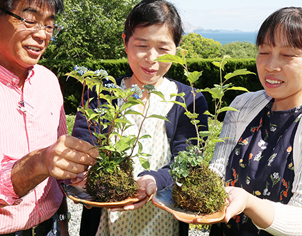 苔玉盆栽を作ったワークショップ