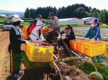 被災した農家でサツマイモの出荷作業を手伝った生徒たち=赤穂高校提供
