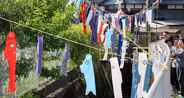 住民有志が手作りして掲げた「めだかのぼり」