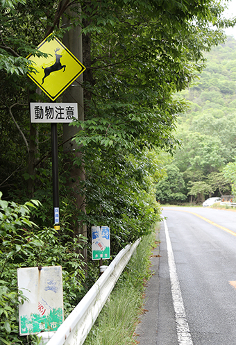 「動物注意」の標識がある高取峠
