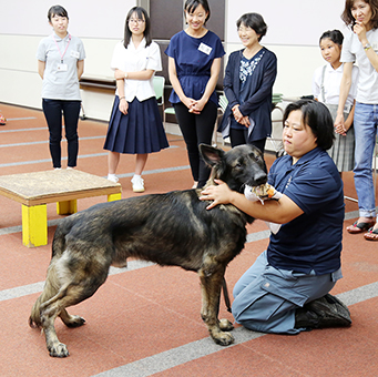 捜索のデモンストレーションもあった災害救助犬講座