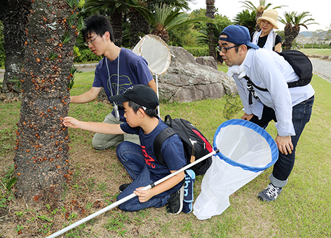 公園内で昆虫を探す参加者