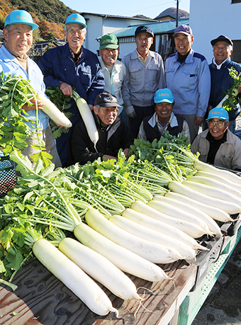 ベテラン農家が育てた自慢の「大津だいこん」