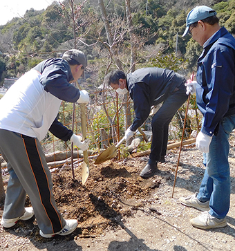 宝珠山の登山道に陽光桜を植えた緑化活動=赤穂RC提供