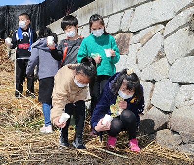 加里屋川にホタル幼虫を放流する児童たち