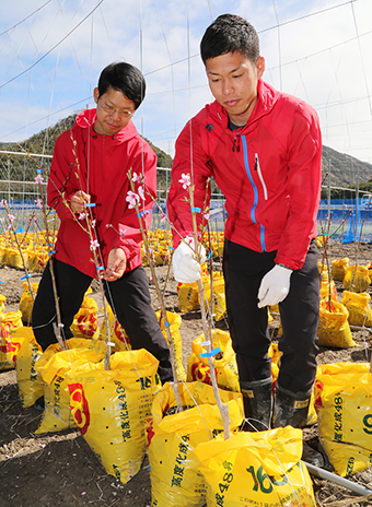 赤穂で新規就農した榊原昂輝さん(右)と小川敬生さん