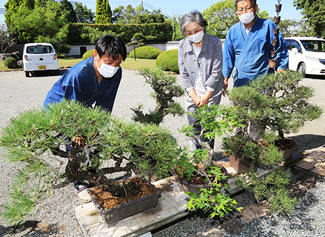 桃井ミューアジアム開館10年を記念してプレゼントする盆栽