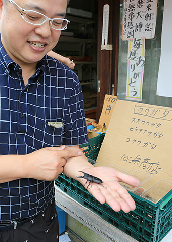 採集したクワガタを販売している向浜加津行さん