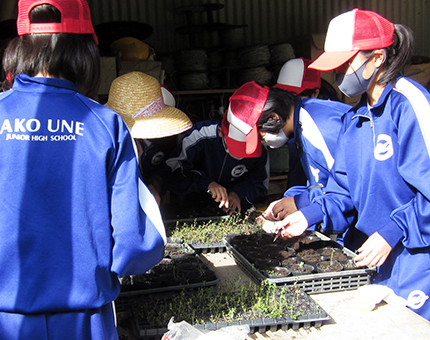 中学生も参加して行われたハーブ苗の移植作業=同団体提供
