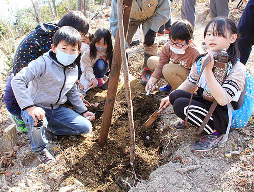 坂越小児童も手伝った赤穂ロータリークラブの植樹活動