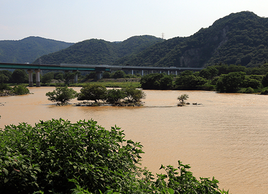 茶色く濁った状態が続いた千種川=6月24日午後2時43分、周世の左岸側から下流方向を撮影。奥に見えるのは山陽道