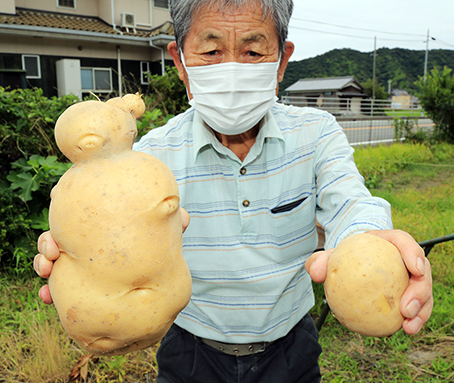 重さ1・2キロのジャンボじゃがいもを収穫した山根久和さん。向かって右側は同じ品種のじゃがいも