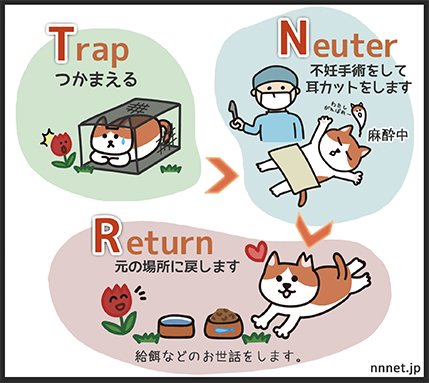 TNR活動のイメージ図