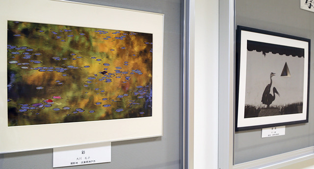 プラット赤穂で開催中のミニ写真展