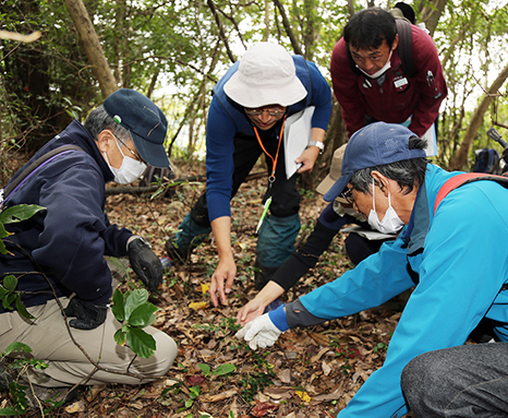 10年ぶりに実施された生島の植生調査